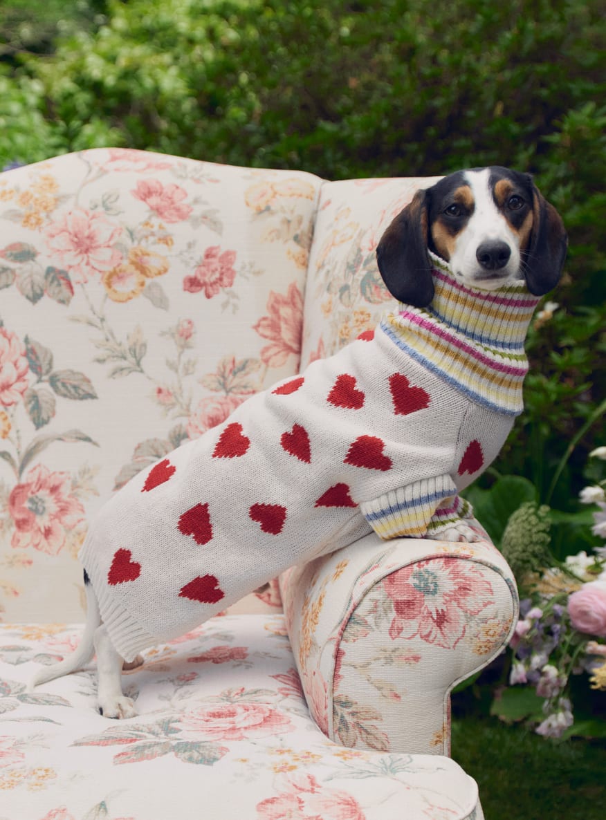 Peter Alexander Lookbook Shop the Looks We Love