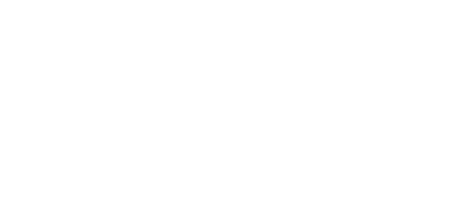 Silver Fever Dazzling Diva