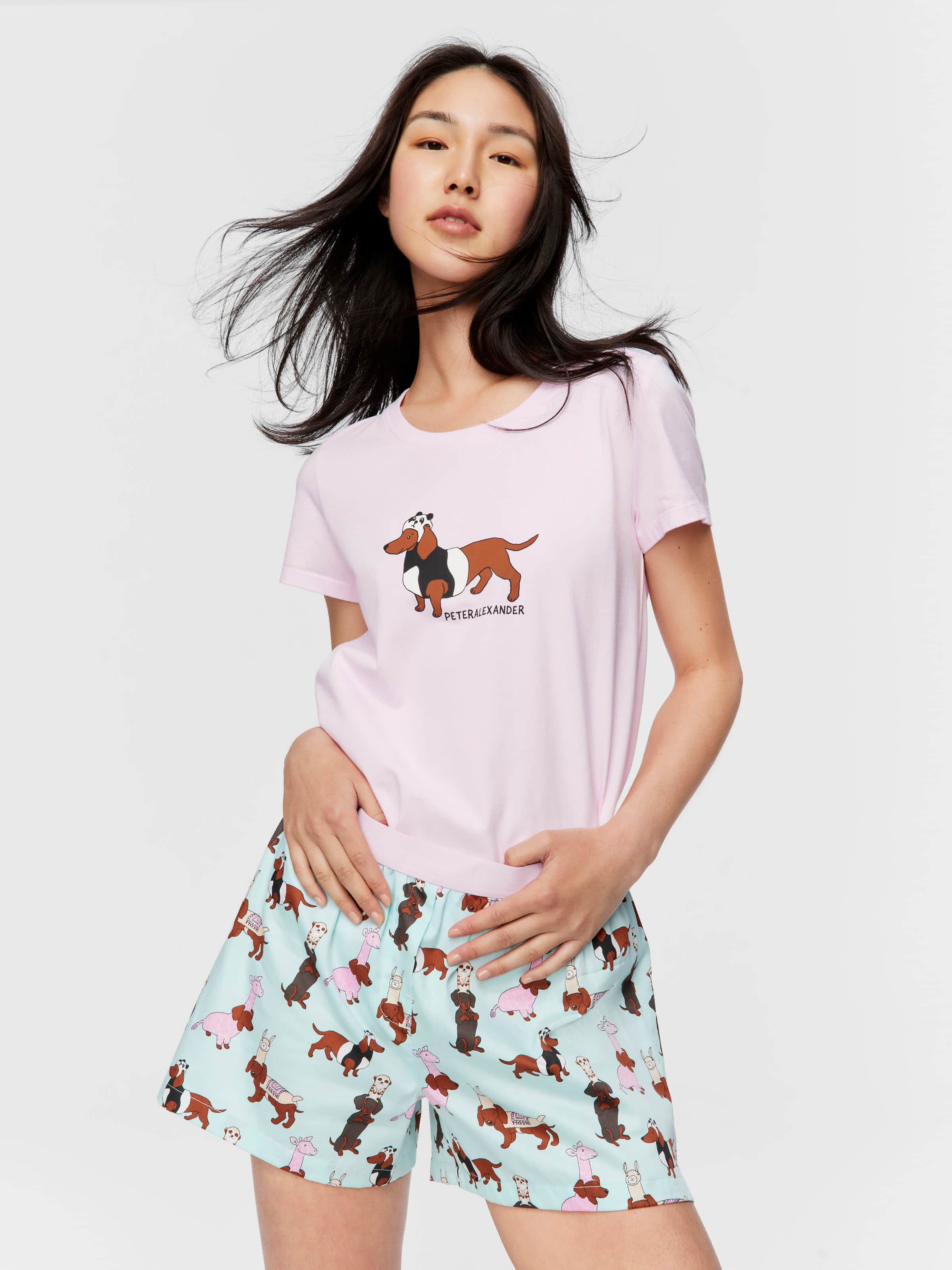 Dress Up Dogs Boxer Short