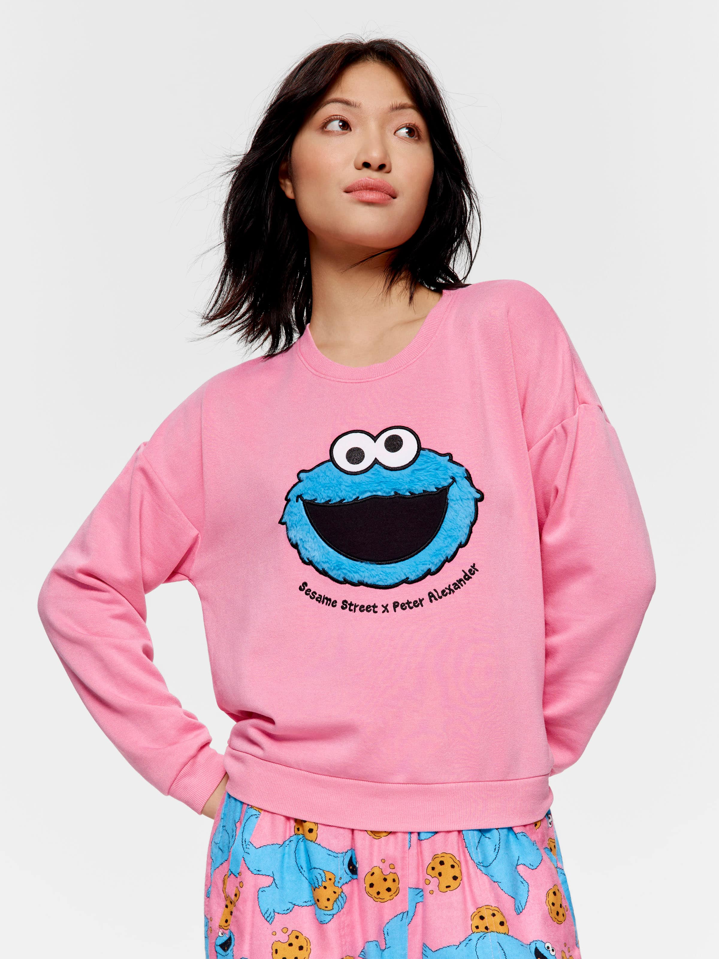 Cookie Monster Sweater