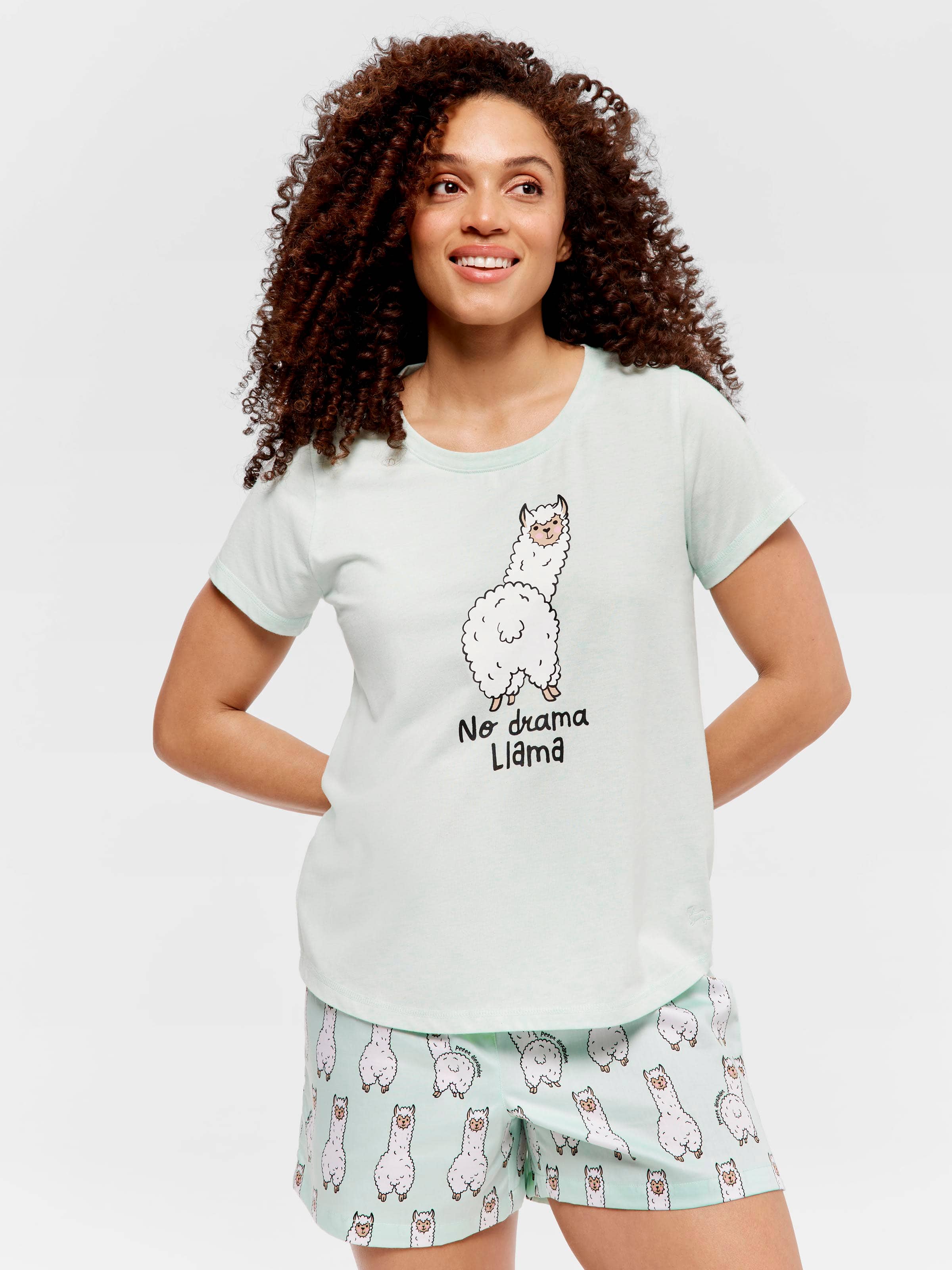 Mint Llama Tee