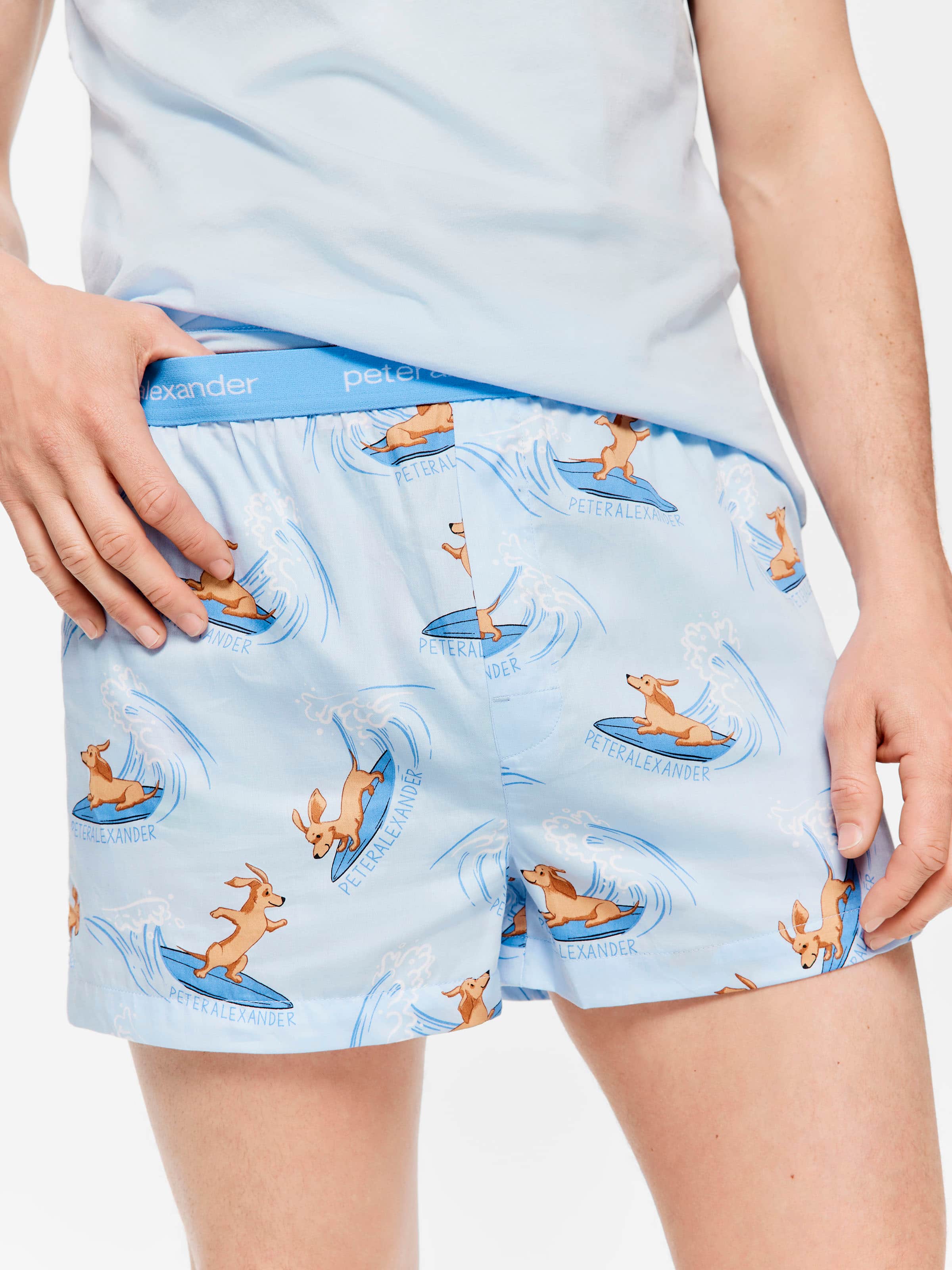 Surfs Up Boxer Short