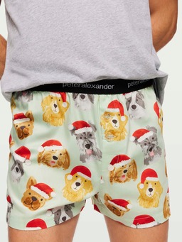 Christmas Dogs Boxer Short