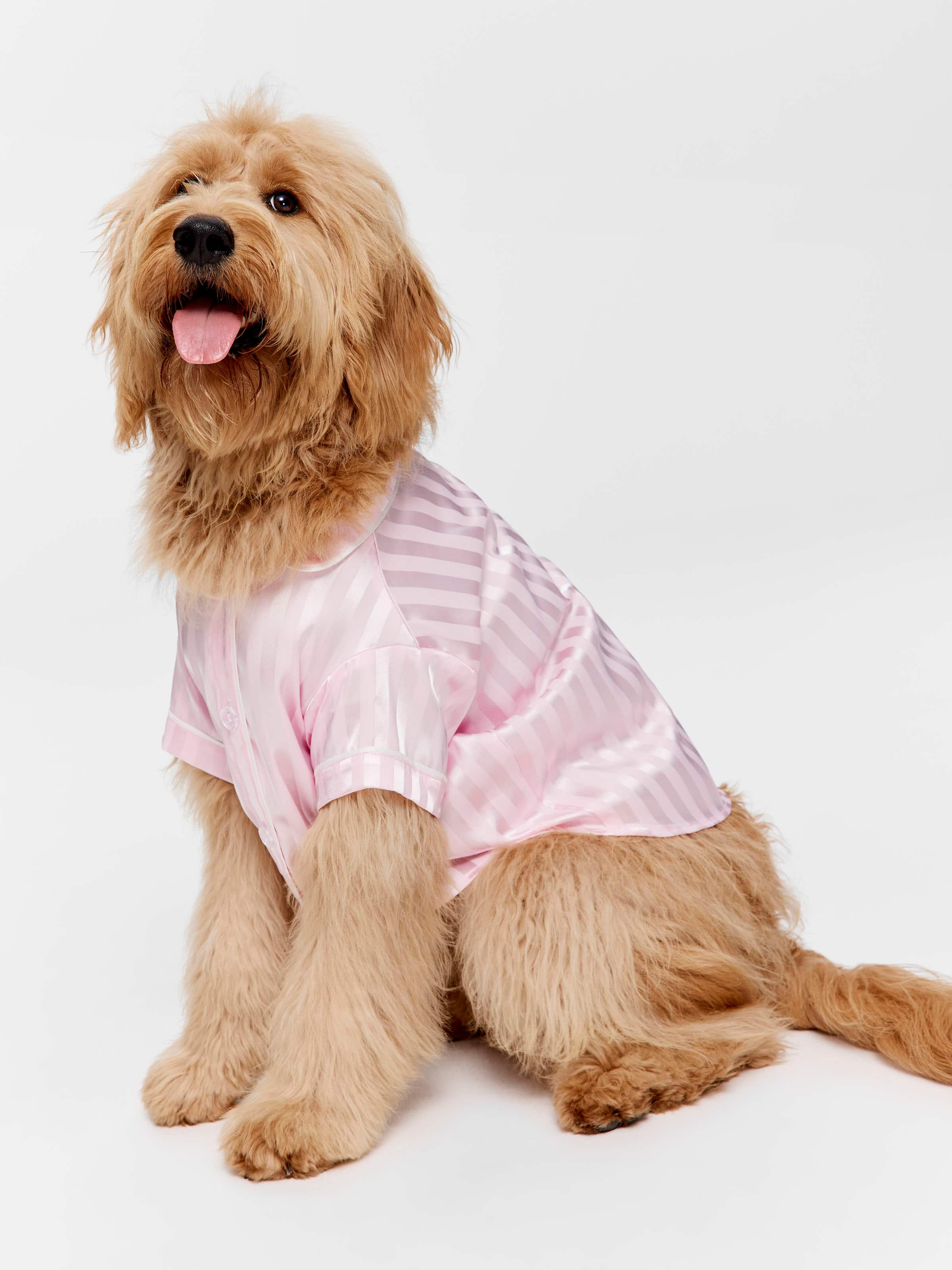 Pink Stripe Satin Doggy Shirt