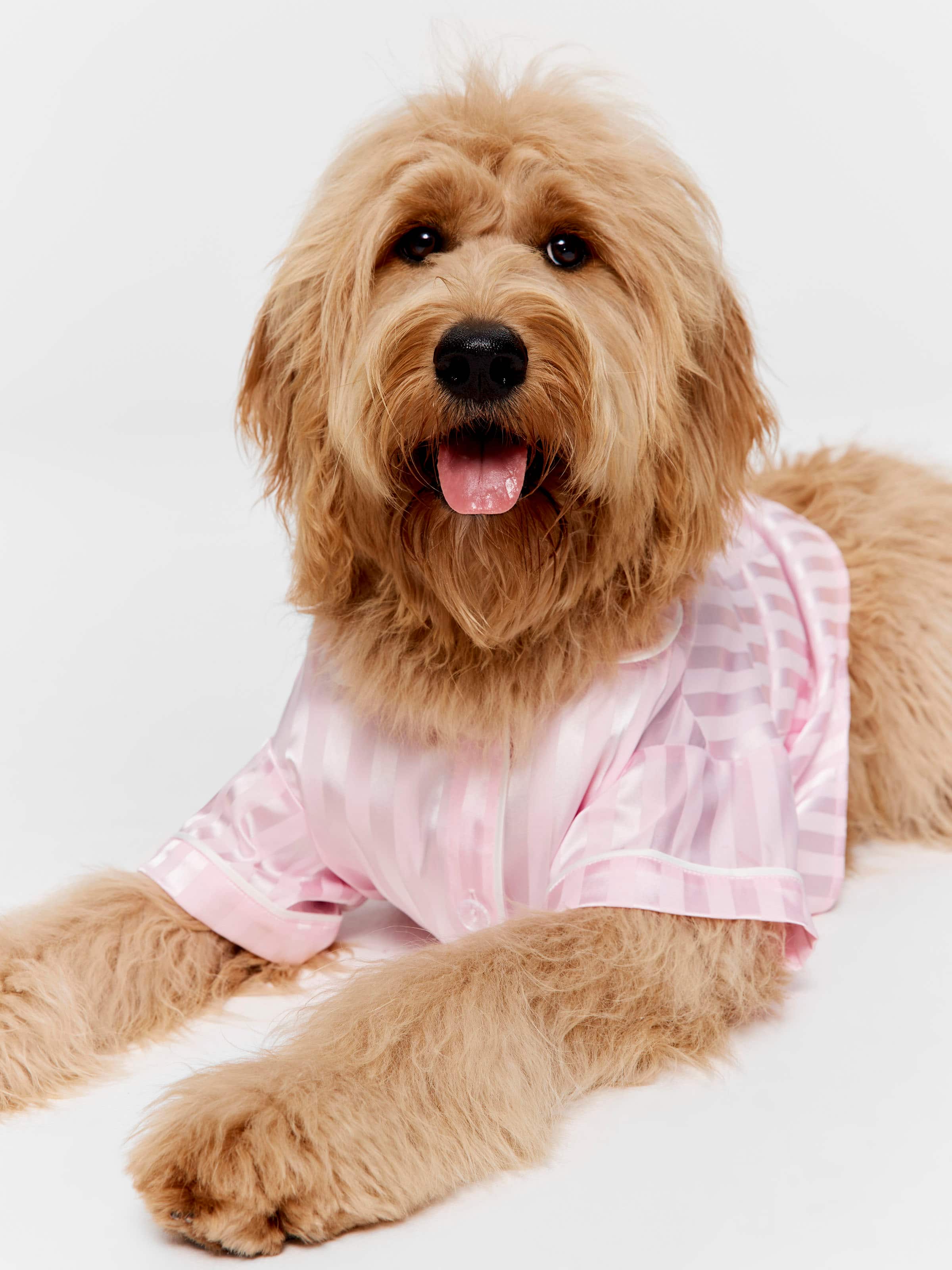 Pink Stripe Satin Doggy Shirt