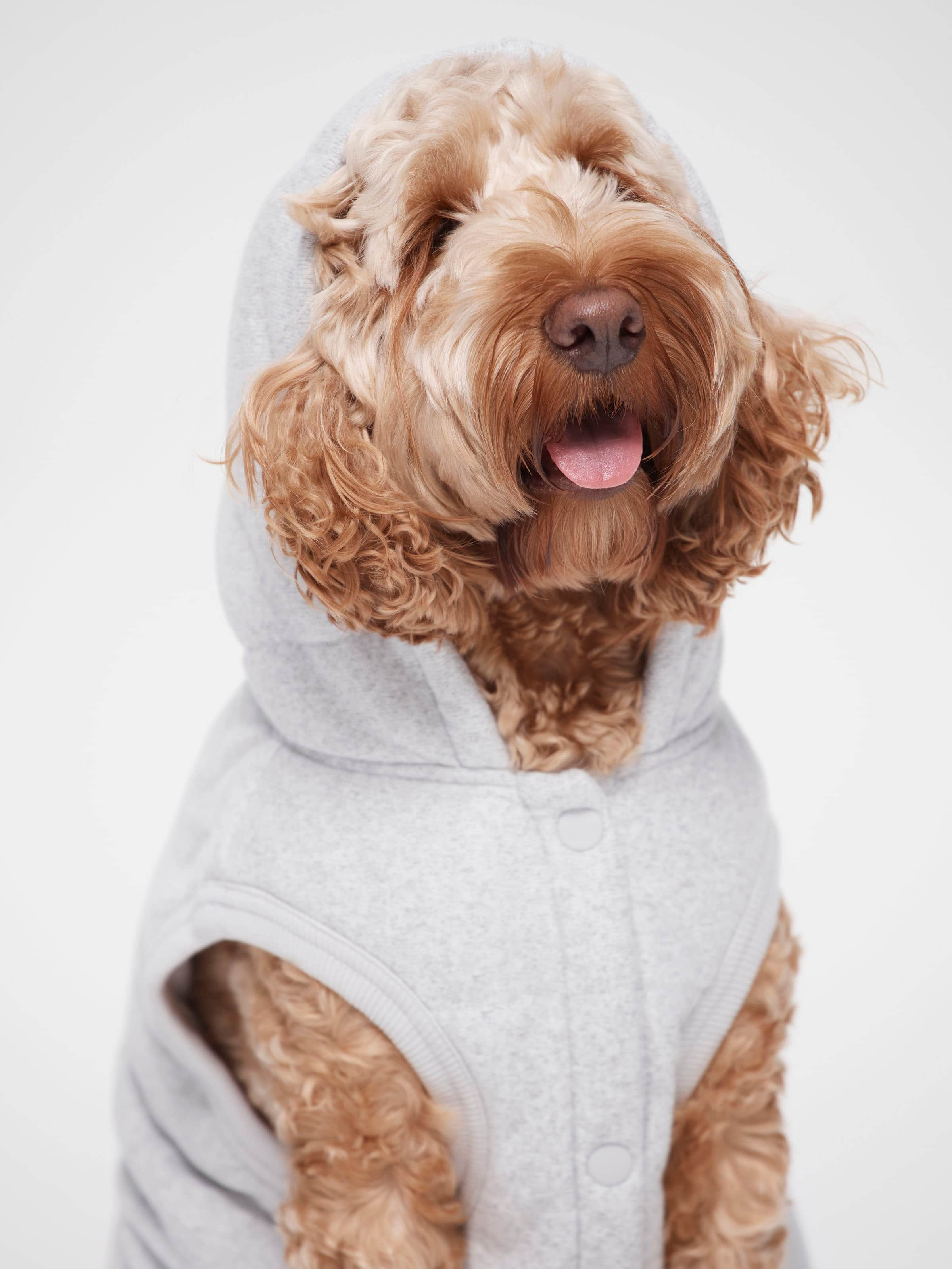 Puppy Quilted Hoodie