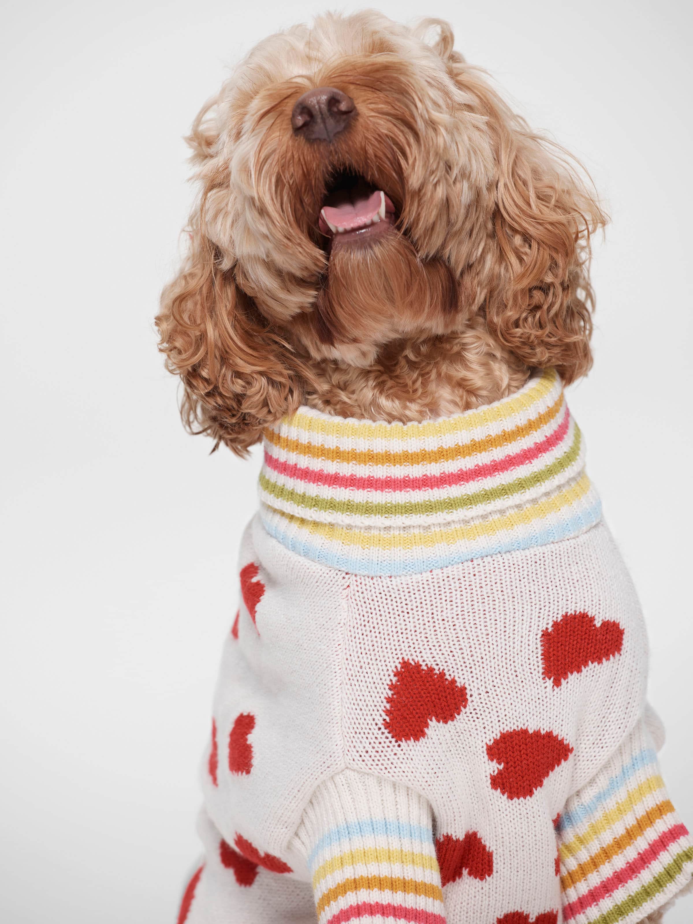 Doggie Heart Sweater