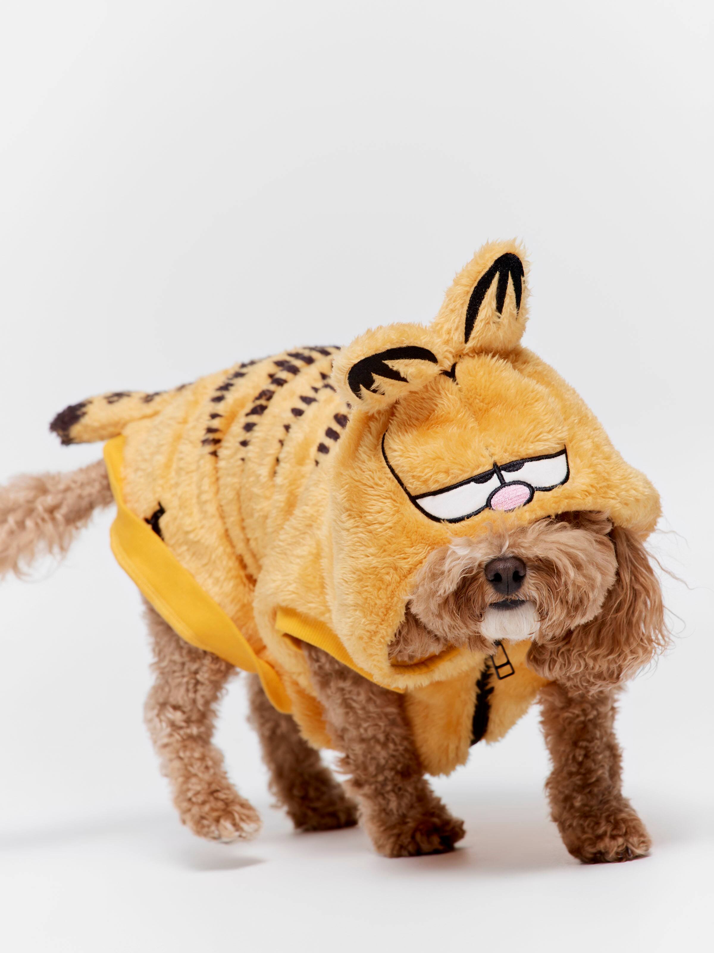 Garfield Dog Hoodie