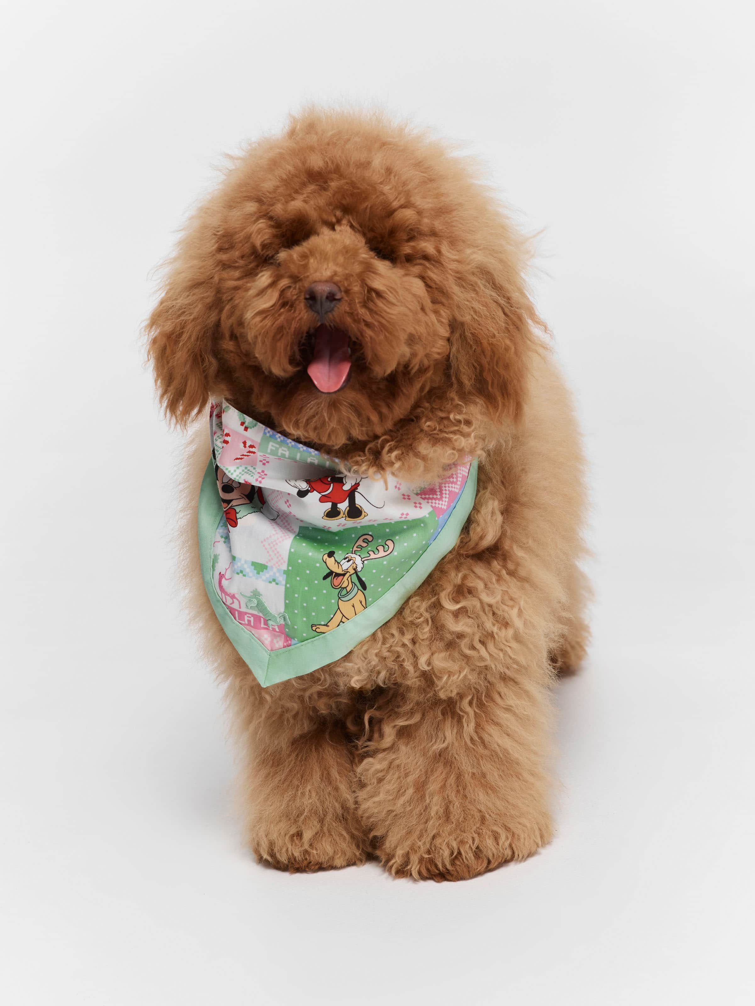 Puppy bandanas best sale