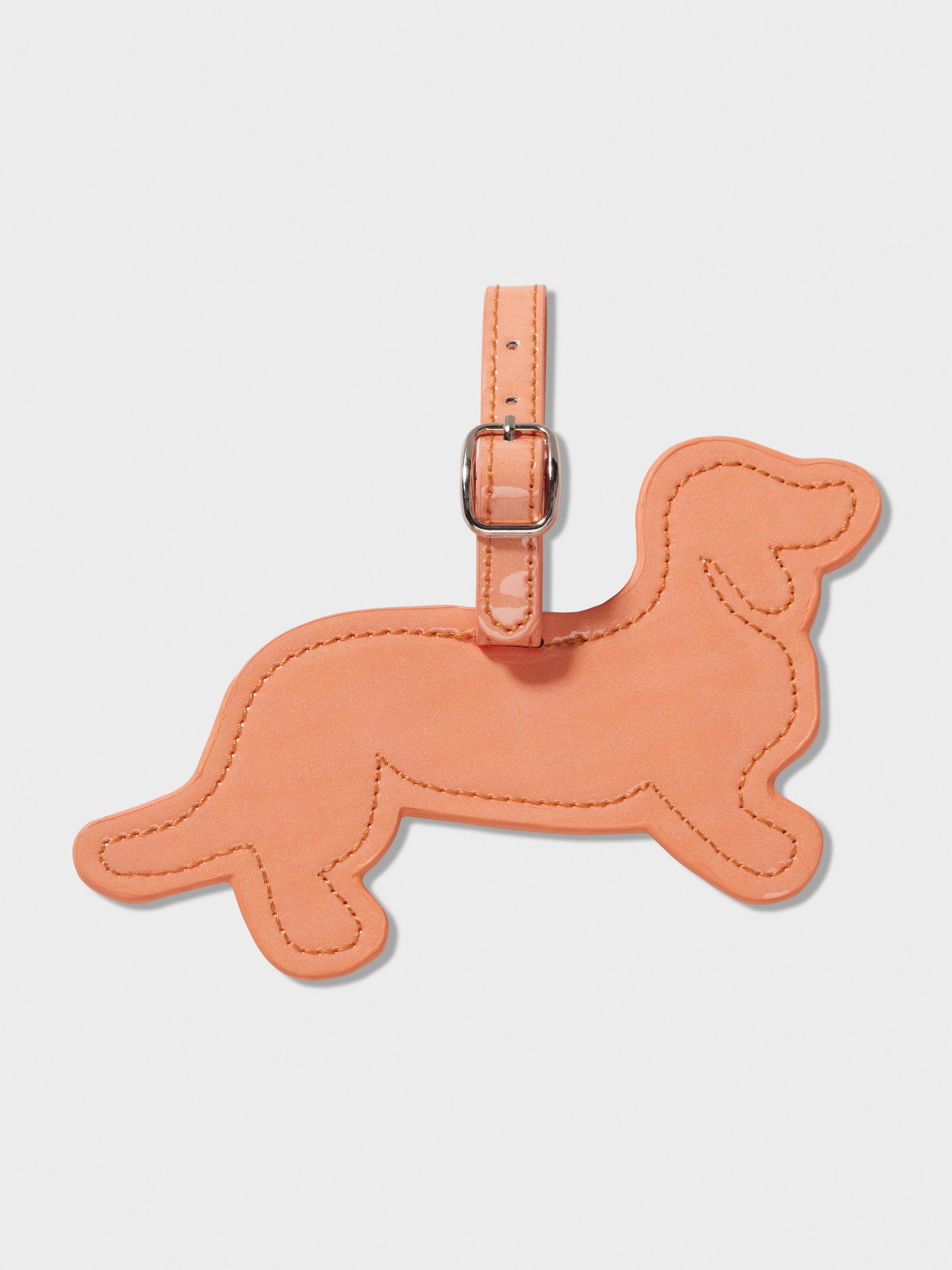 Travel Tag