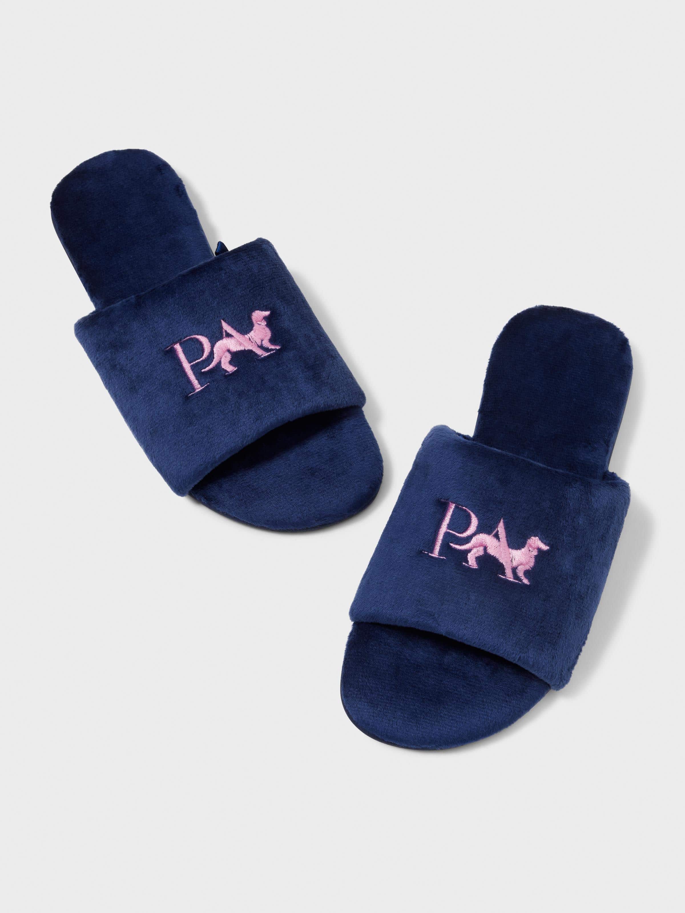 Penny Logo Slide