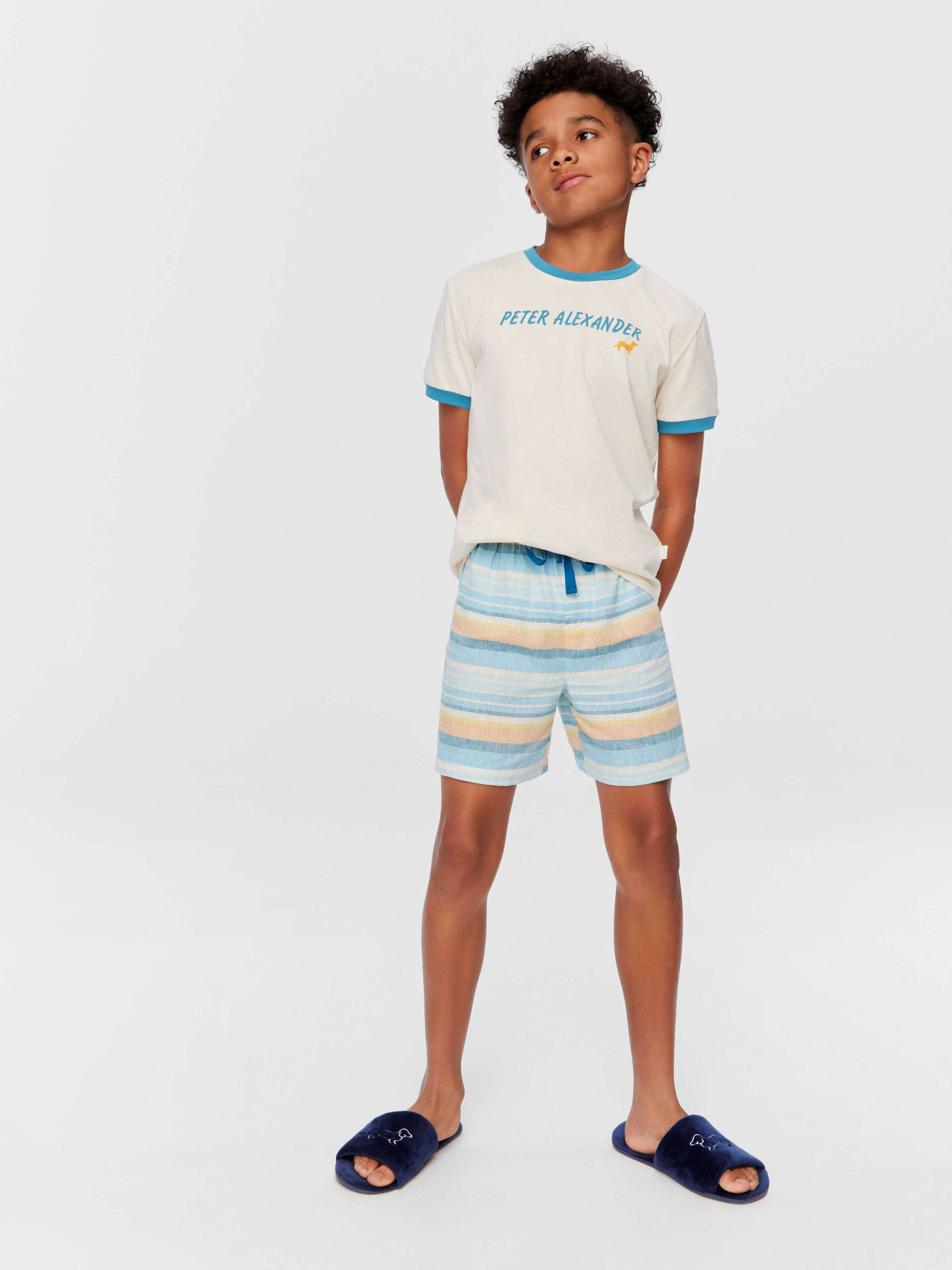 Boys Surf Stripe Pj Set