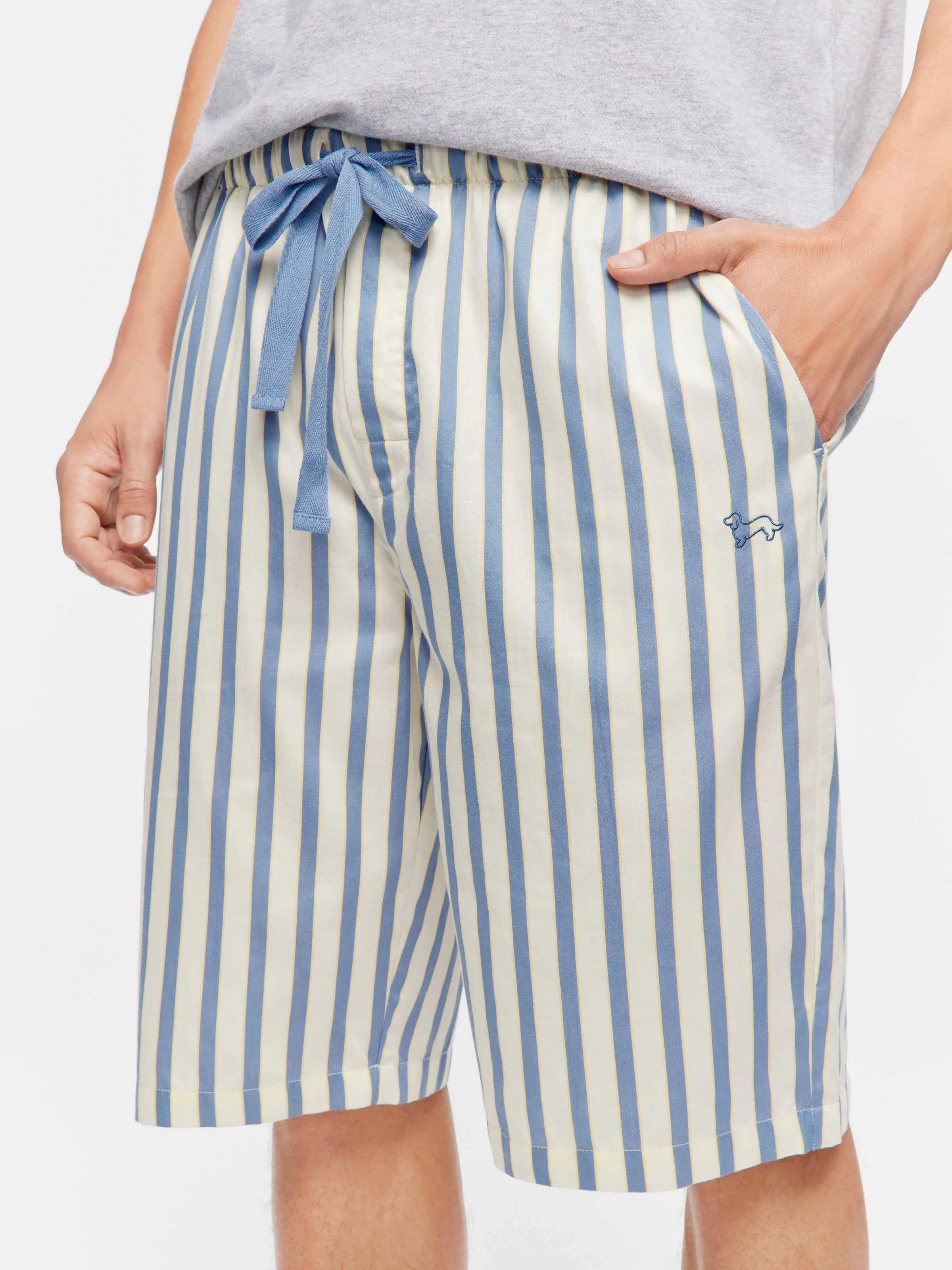 Blue Stripe Sleep Short