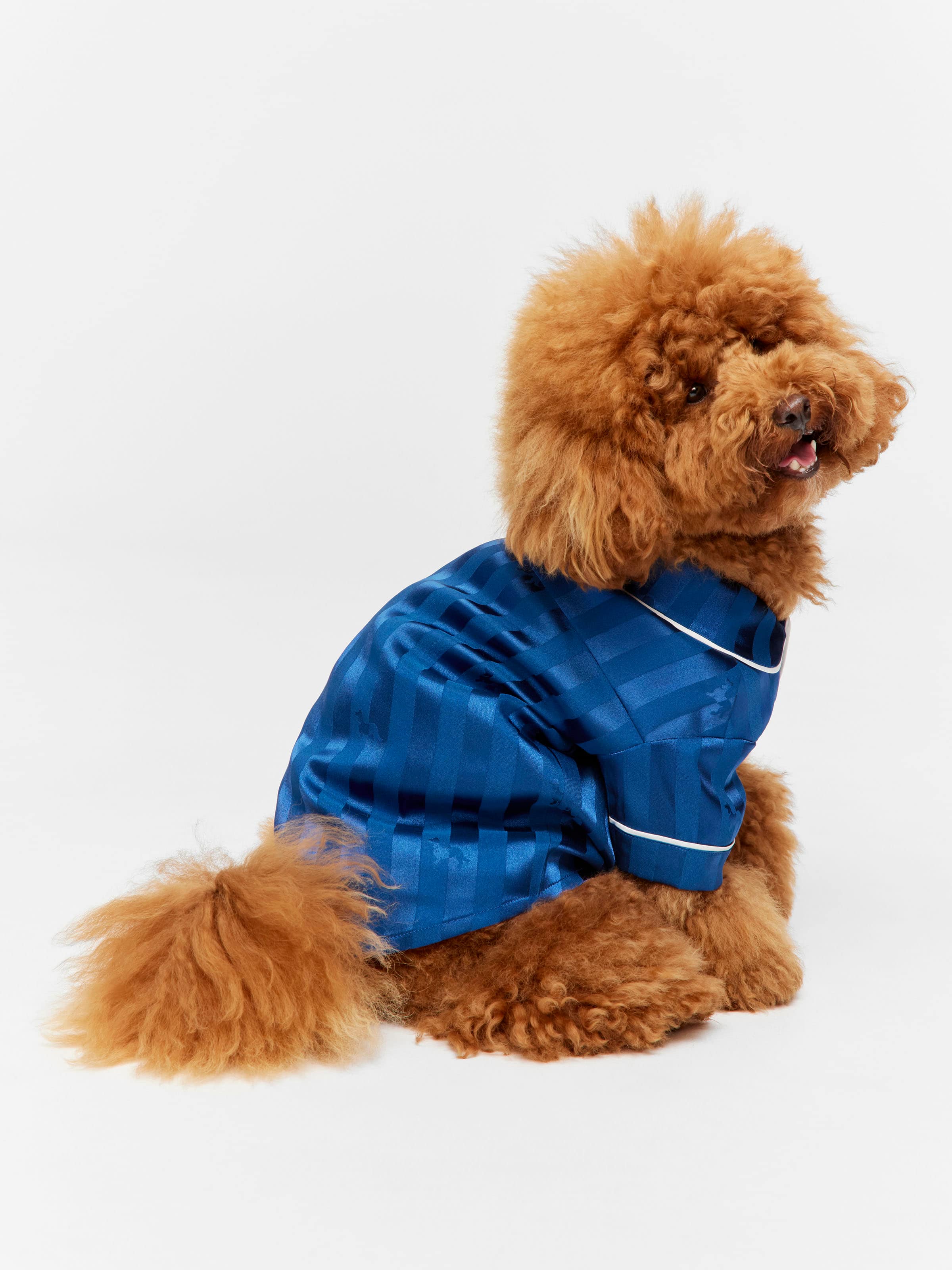 Navy Stripe Satin Doggie Shirt