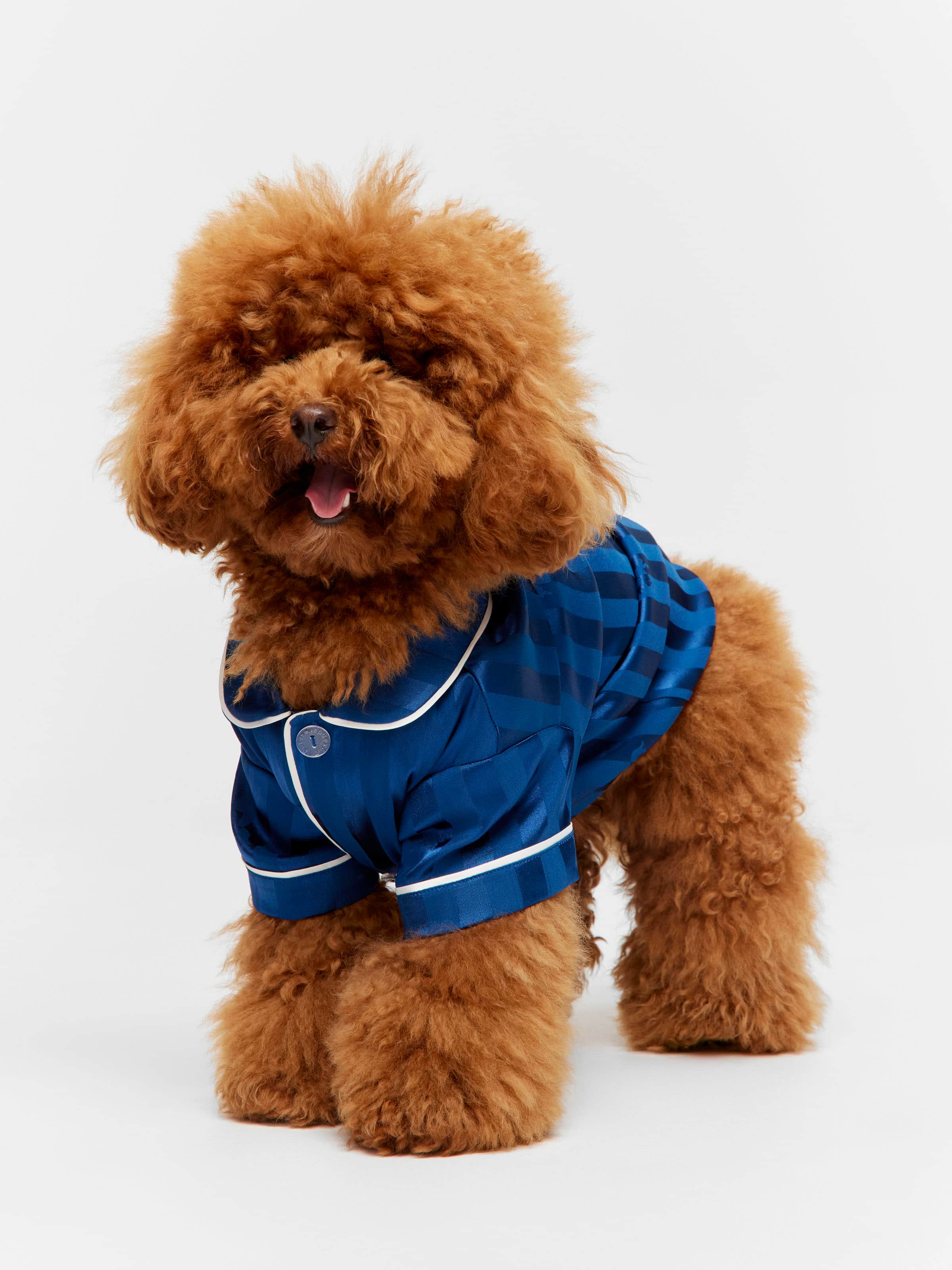Navy Stripe Satin Doggie Shirt