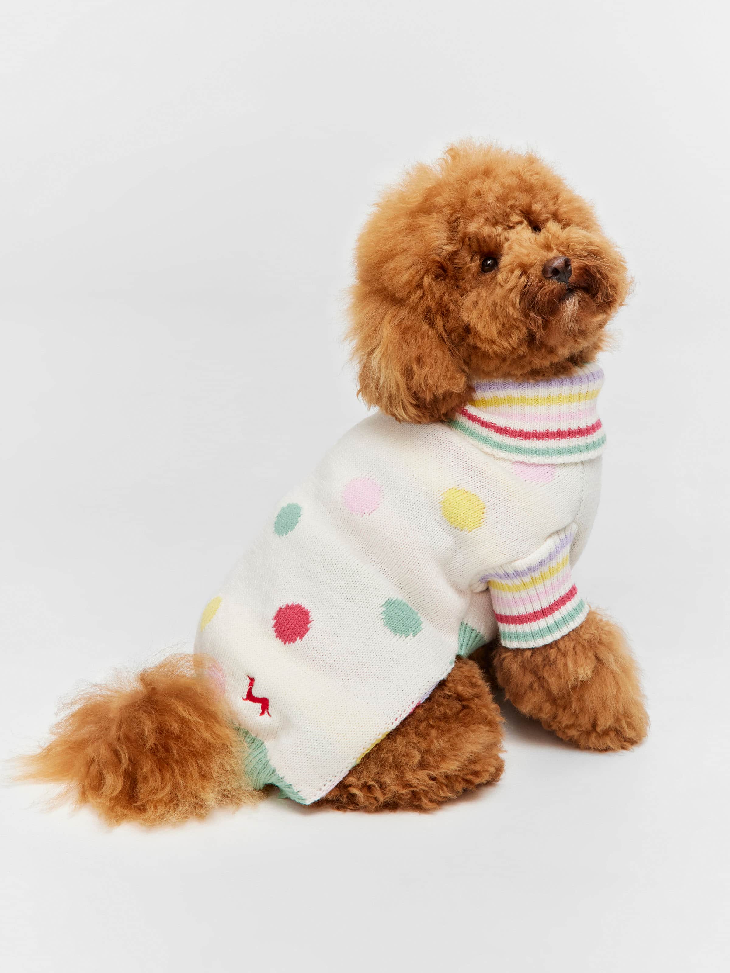 Knitted Dog Tee