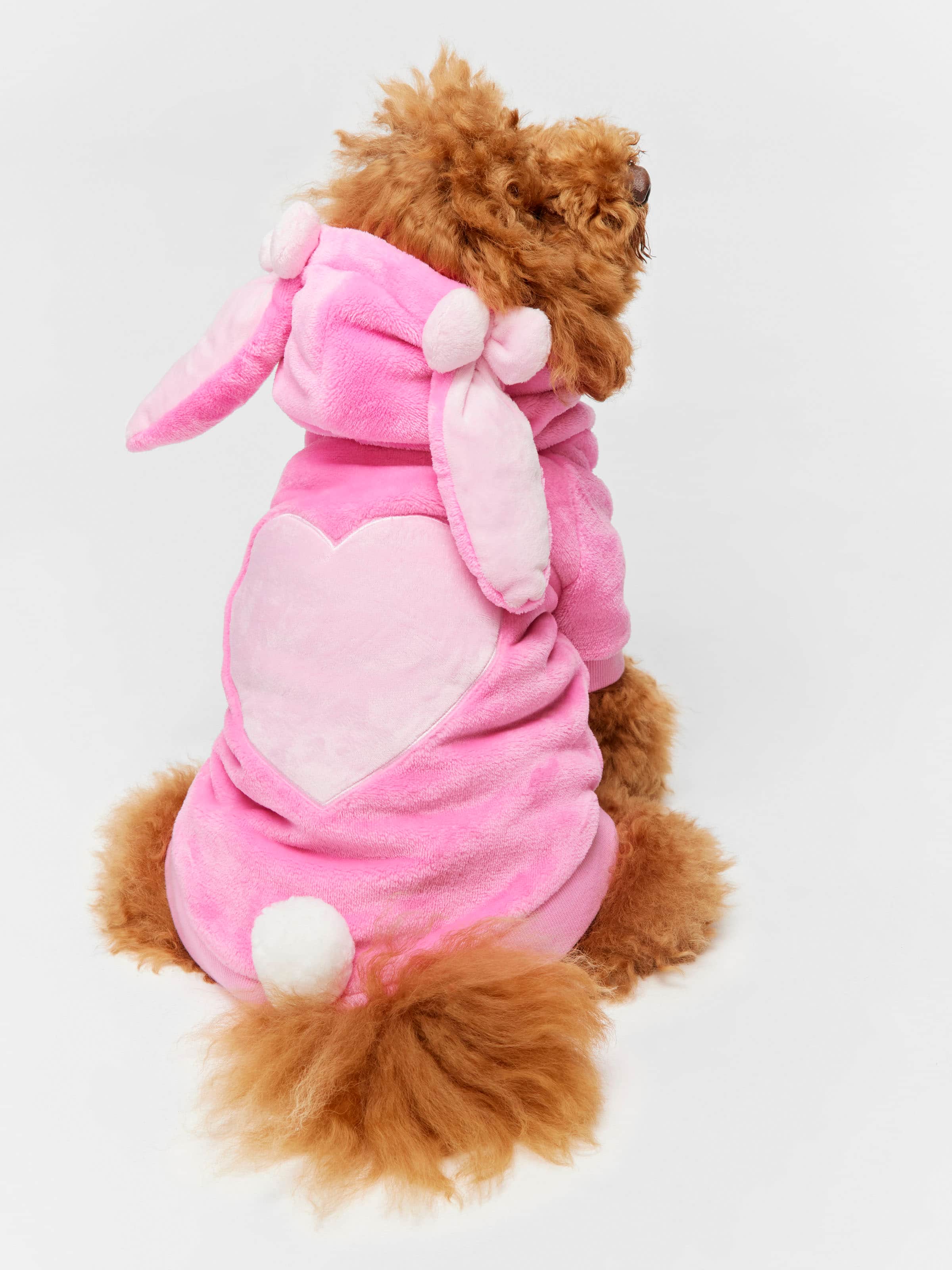 Bunny Dog Hoodie