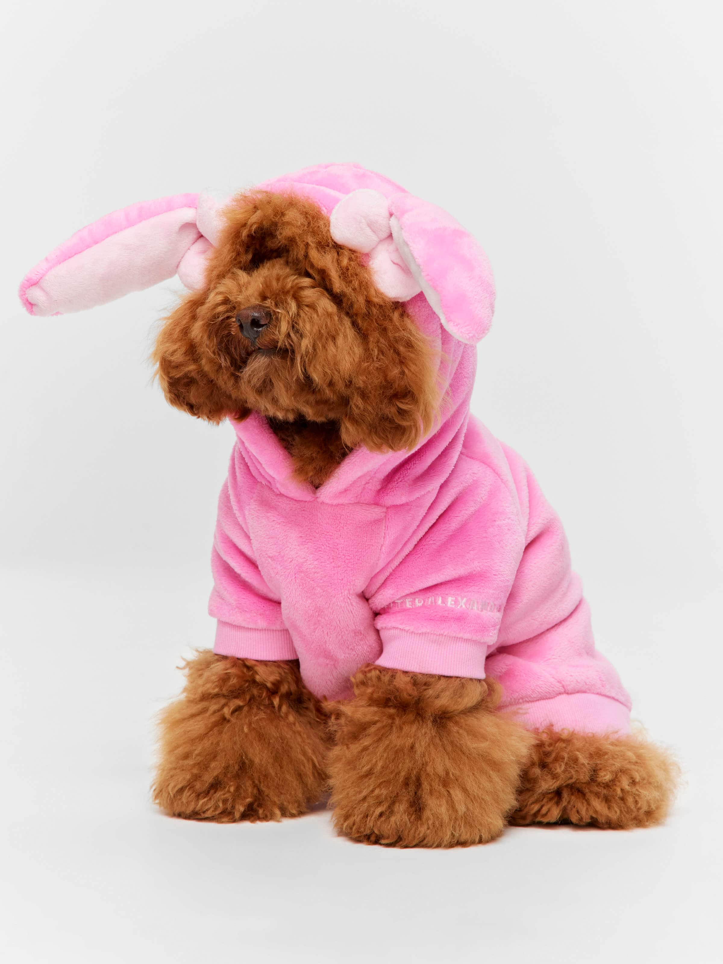 Bunny Dog Hoodie