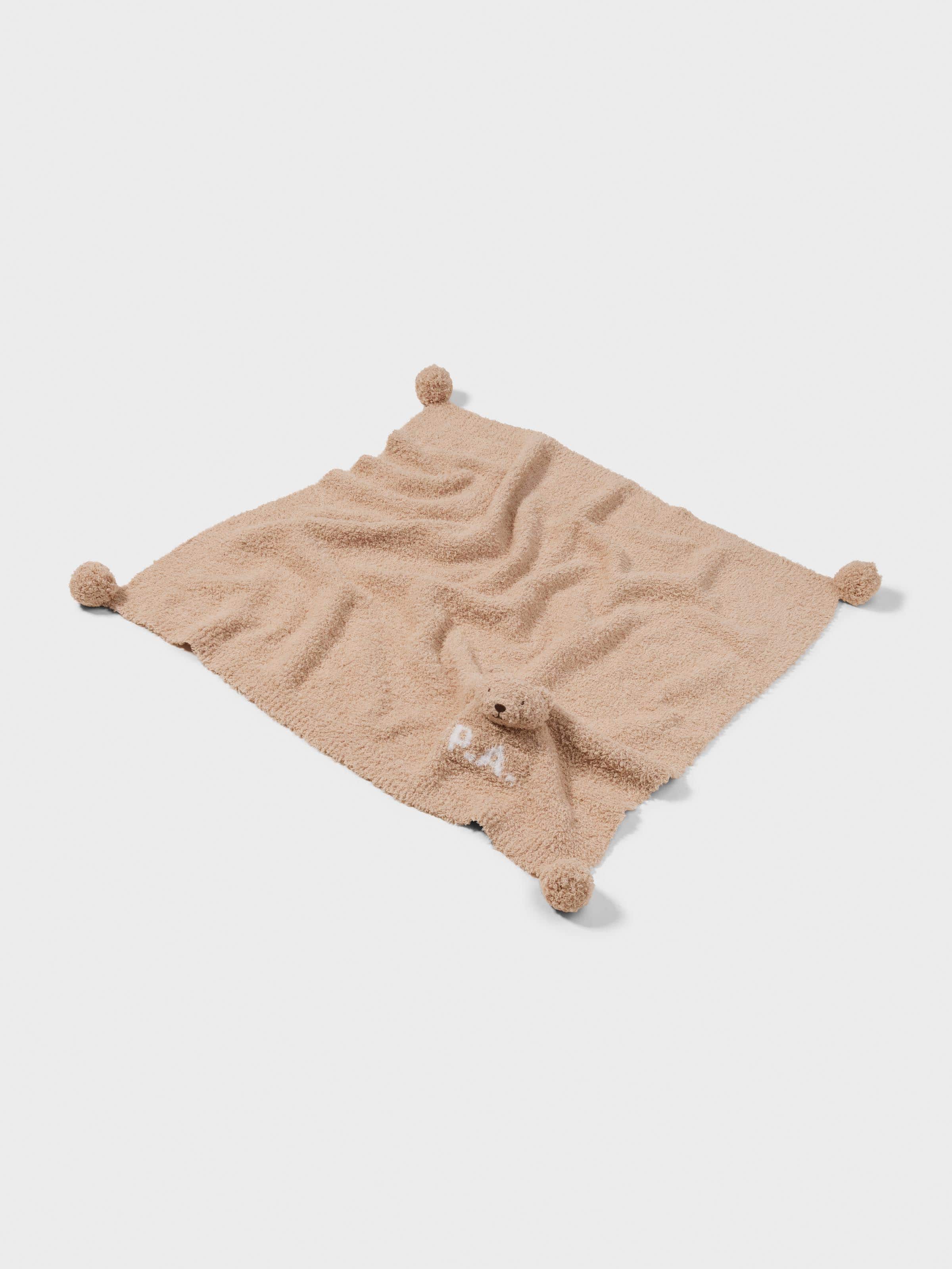 Baby Teddy Blanket