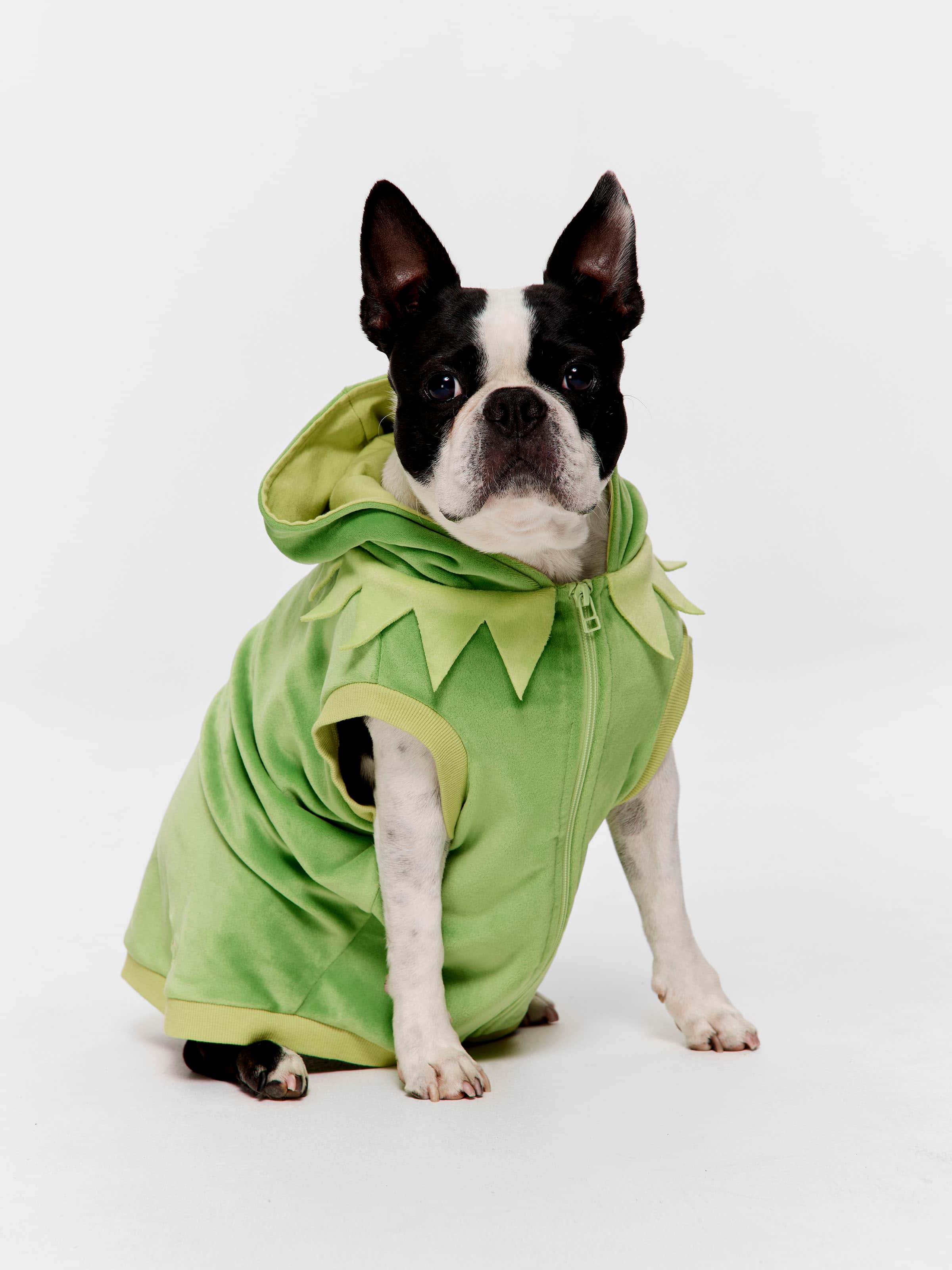 Kermit Dog Hoodie