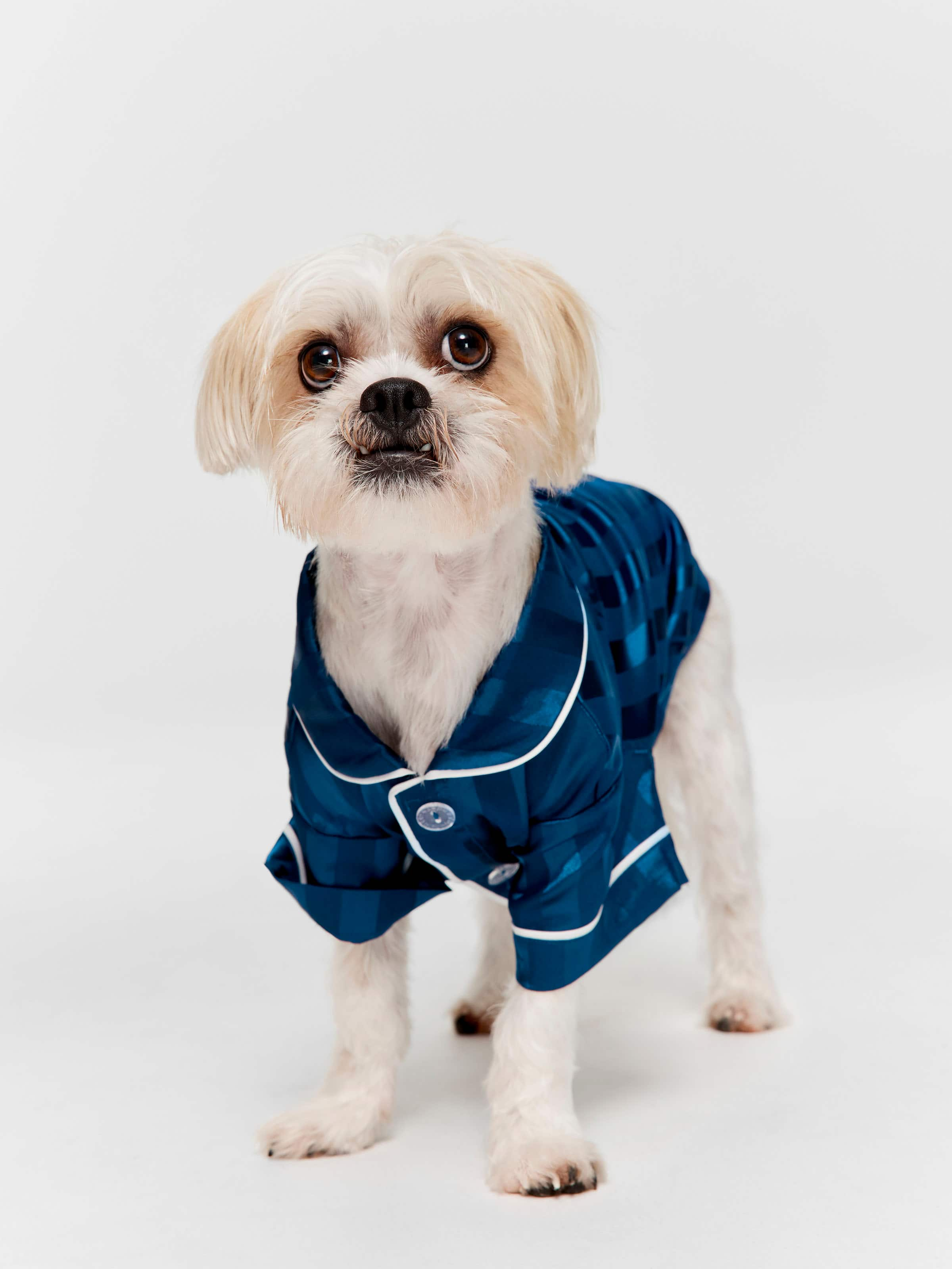 Navy Stripe Satin Doggy Shirt Navy - Peter Alexander Online